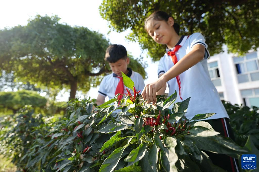 免费约局的麻将
